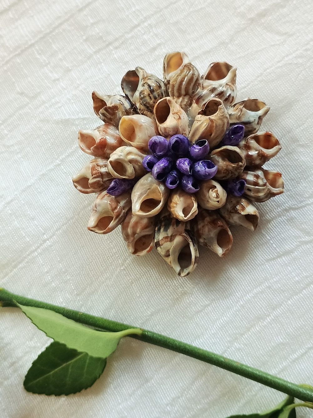 •🏄🏽♀️ COASTAL GRANDMOTHER 🏄🏽♀️ TRu VTG Artisan Cone Shell Brooch, ECLECTIC